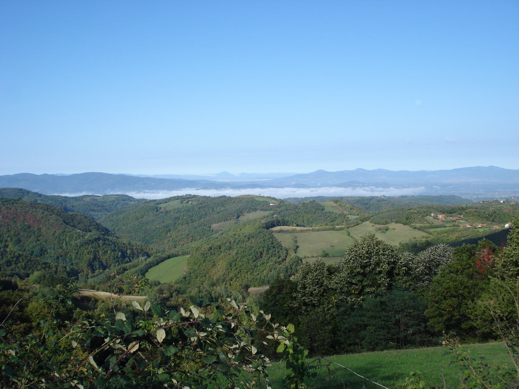 Lovište LU "Kraljevo" - Krlajevo