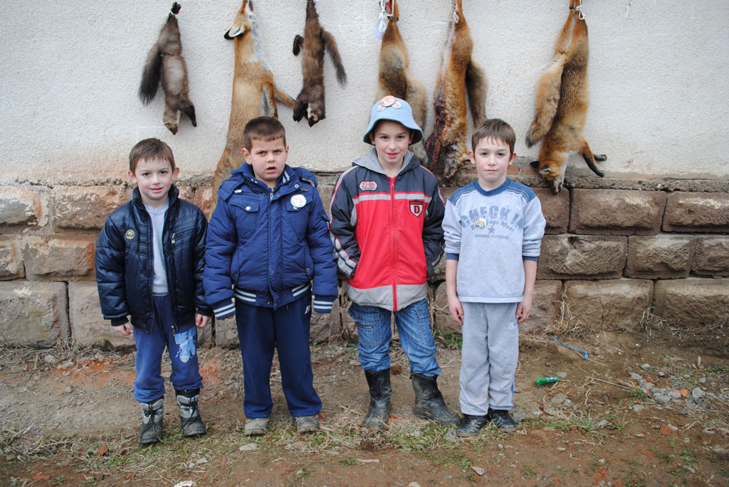Godačica 2013