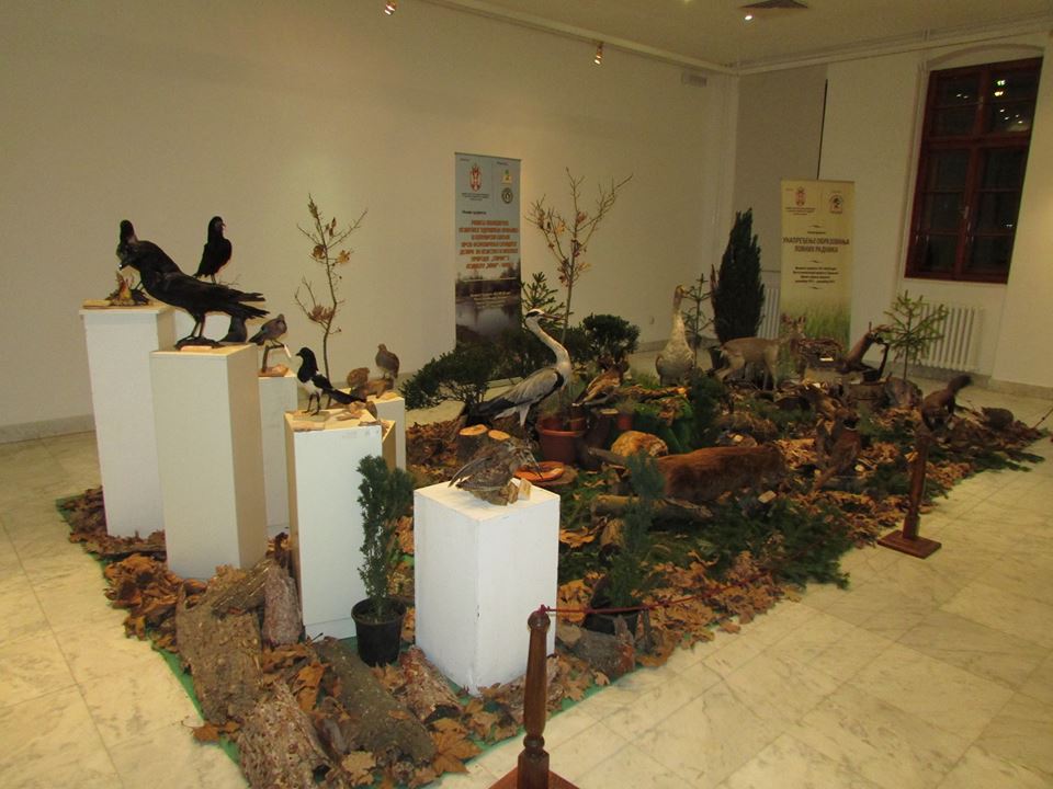 Izložba Šumarske škole i LU povodom 120 godina organizovanog lovstva u Kraljevu